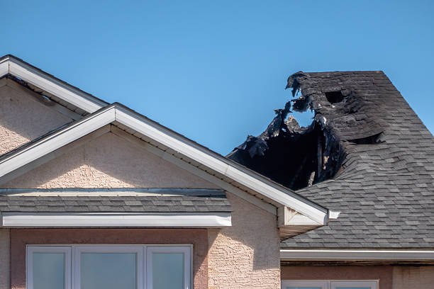 Licensed Content Restoration service in Shafer, MN - Fire Damage Biloxi